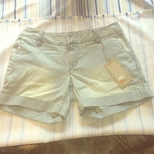 Dear John *NWT* Hampton Comfort Shorts